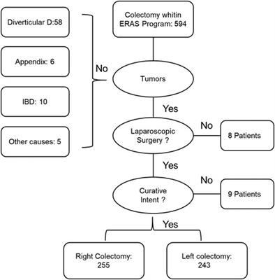 A retrospective study on the efficacy of the ERAS protocol in patients who underwent laparoscopic left and right colectomy surgeries